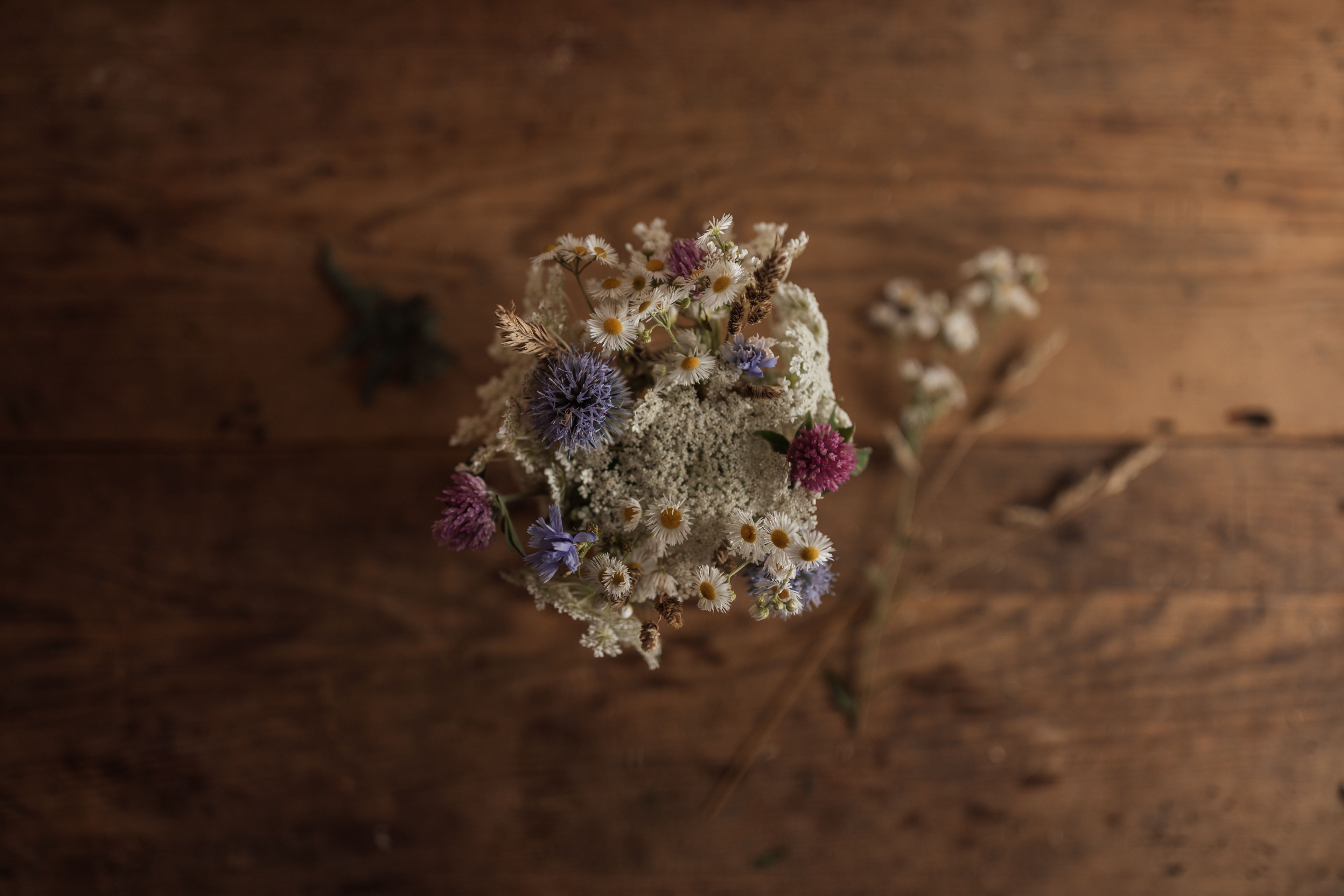 Profoto-Stories-Meg-Loeks-Bringing-a-still-life-to-life-235A0868-Edit.jpg