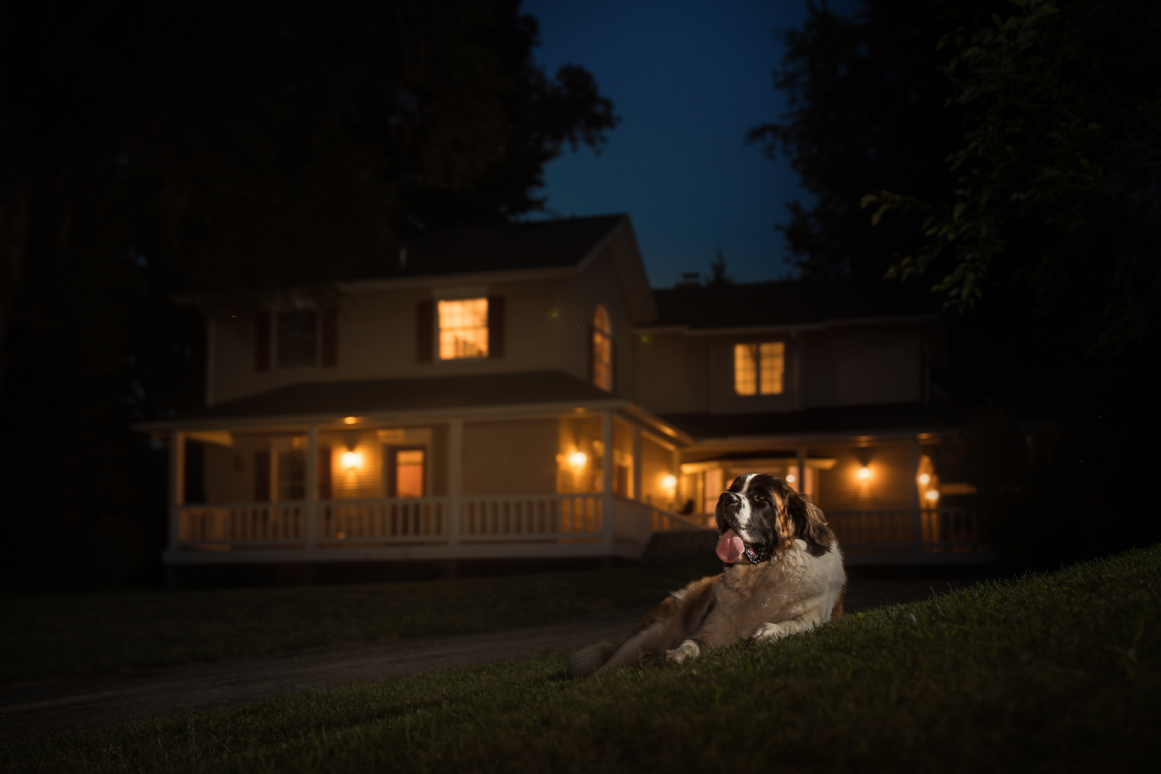 Profoto-Stories-Meg-Loeks-Capturing-the-night-235A0570-Edit-thumbnail.jpg