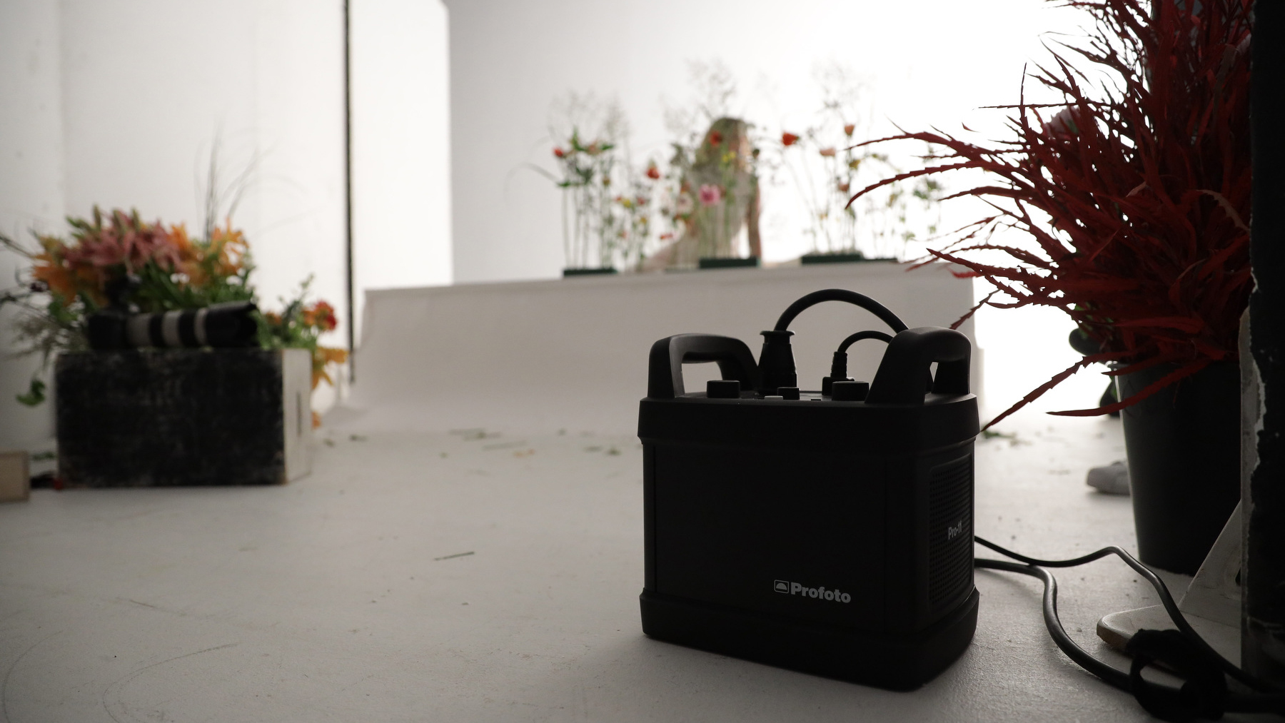 Profoto オンラインストアでプロフェッショナルなライティング機材を