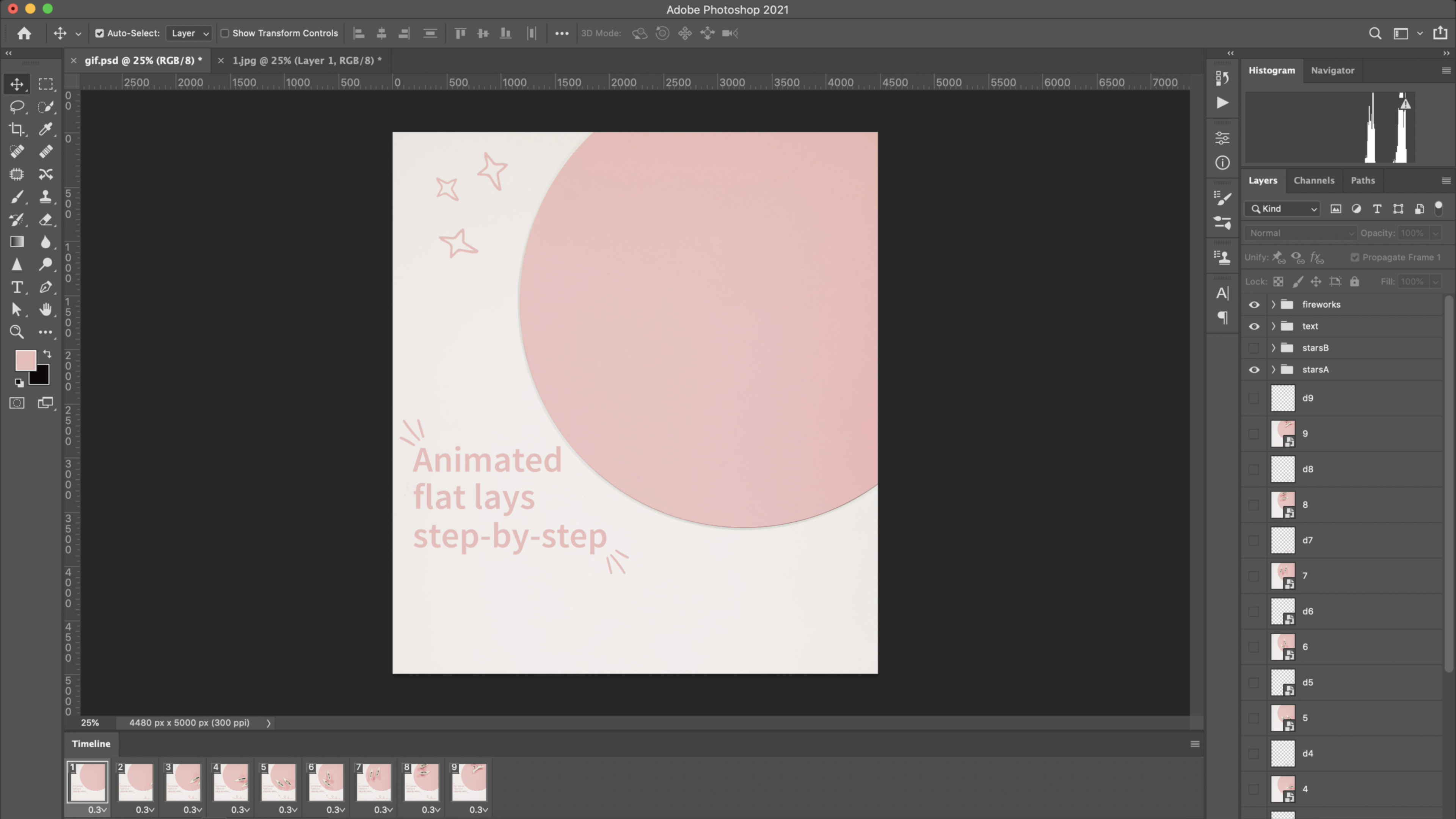 animated-flat lays-photo.png.png