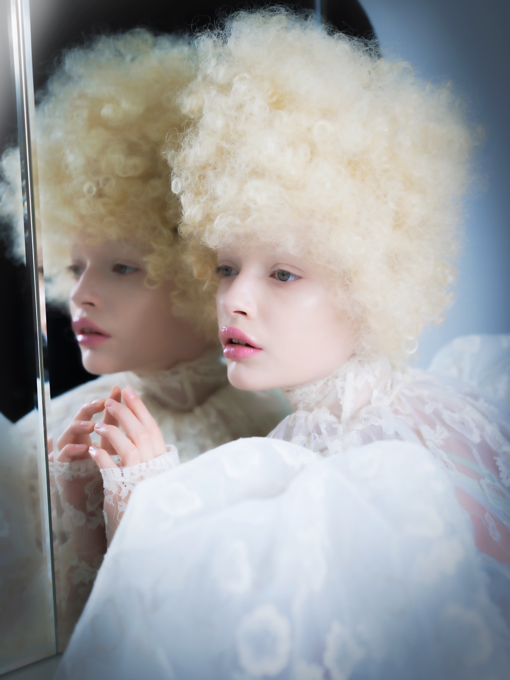 Rumiさん　Profotoリフレクター　2個まとめ Profoto Stories - Profoto